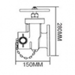 Gate/Landing Valve Screwed 2.5” BSPT Male